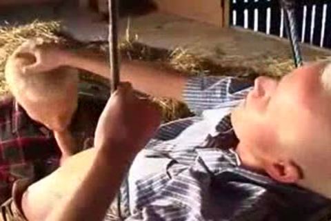 babes In Tthis chab Barn