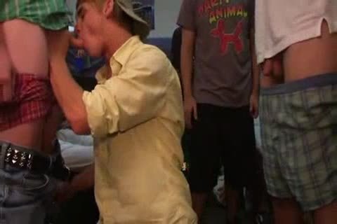 College lads sucking And slaming