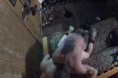 pursueed The Treasure Trail, Found The pooper - Damon Doggs cum Factory