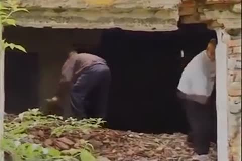 threesome teen fuckfest On The Farm