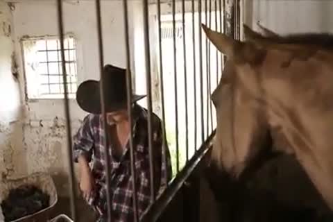 lustful boyz nail In Farm