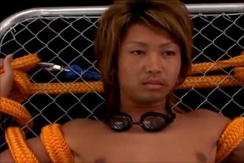 bdsm two