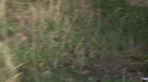 CzechHunter.com - Incredible fucking for money