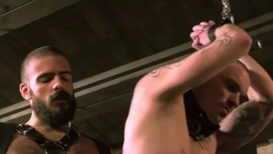 homo World Berlin Leather - Leather large Wolf Vs Axl dark Part 1