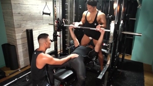 PVV_45