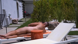 Family Dick: A Fateful Meeting Under the Bright Sun