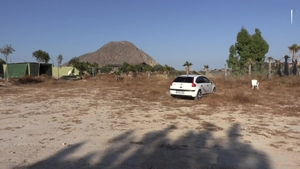 Strangers Use Young Pup Roughly