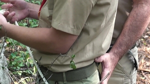 ScoutBoys