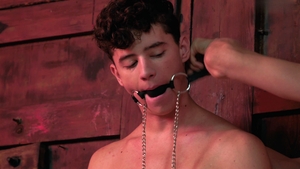 Whipped and Used by Their Lovers